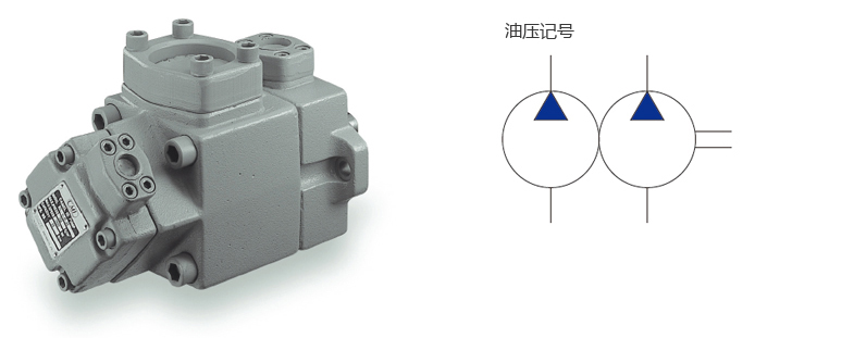 Quantitative vane pump